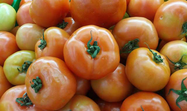 Manfaat buah tomat bagi kesehatan