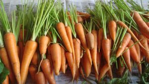 Manfaat wortel dan terapi jus wortel
