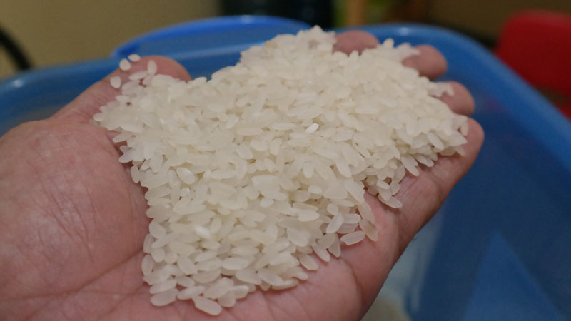 Manakah langkah metode ilmiah yang dapat dilakukan konsumen untuk mengetahui kandungan zat pemutih pada beras